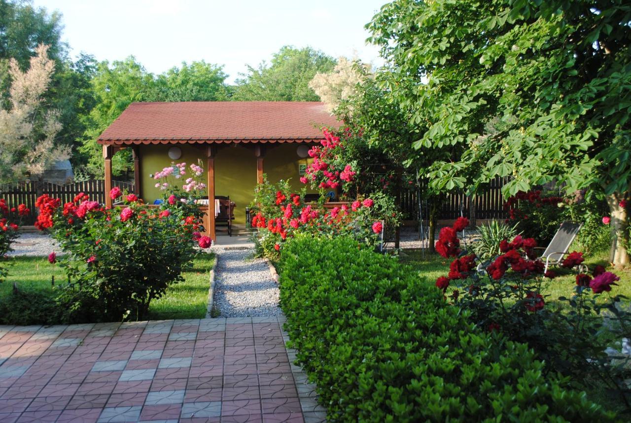 Vila Delta Travel - Mila 23 Mila Douăzeci şi Trei Exteriér fotografie